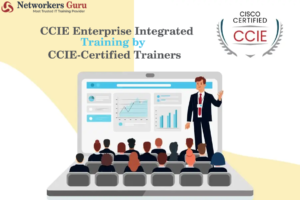 CCIE Enterprise Integrated Training