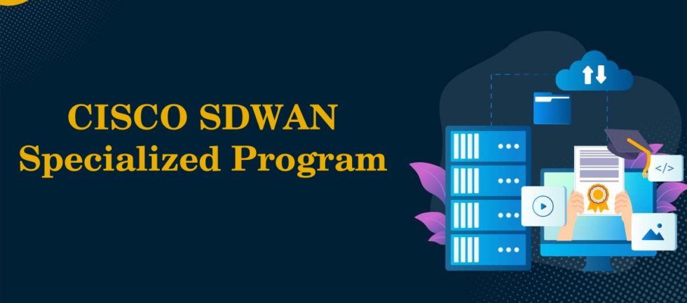 SDWAN Specialized Program