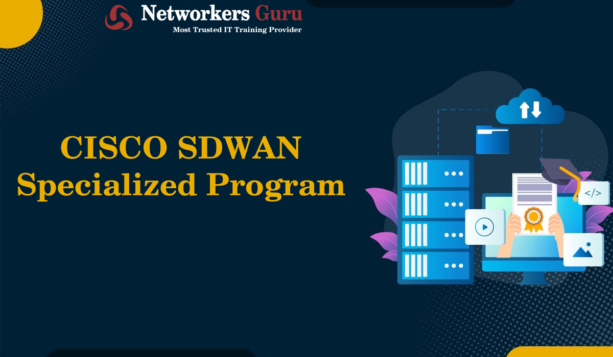 SDWAN Specialized Program
